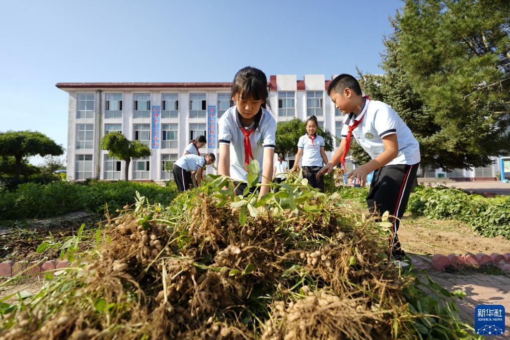大乐透大赢家软件破解